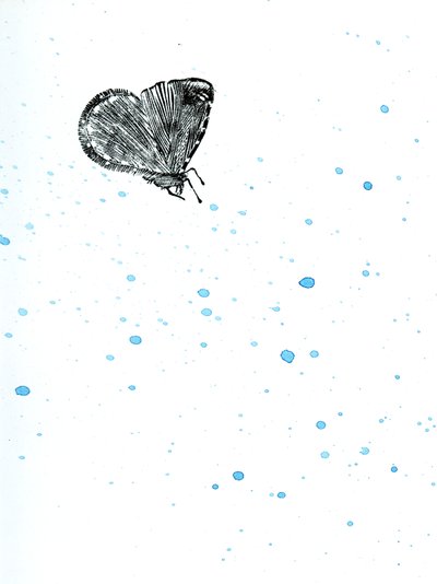 Moth {Fay-erie Dust} by Bella Larsson